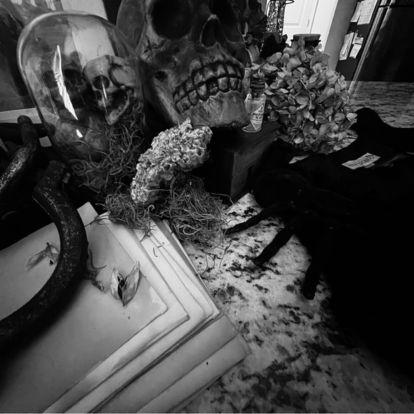 IT’S SHOWTIME | My 1st LIVE Posh Show | $5 Happy Haunts - Picture 9 of 13